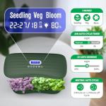 Indoor Hydroponic Herb Garden Kit with Timer