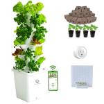 LnzyGarden Indoor Hydroponic Growing System Kit