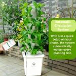 LnzyGarden Indoor Hydroponic Growing System Kit