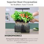 Indoor Herb Hydroponic Growing System with LED Light