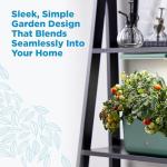 AeroGarden Harvest 2.0 Indoor Hydroponic Garden System