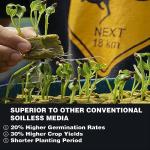 CastleGreens Rockwool Grow Cubes - 200 Plugs