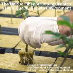 CastleGreens Rockwool Grow Cubes - 200 Plugs