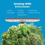 Compact Hydroponic Garden with LED Light – 6 Pods