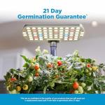 Compact Hydroponic Garden with LED Light – 6 Pods