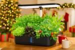 Indoor Hydroponic Herb Garden with Grow Light