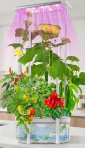 Smart Hydroponic Gardening System with LED Grow Light