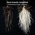 Real Growers Recharge - Mycorrhizae Compost Tea 8oz