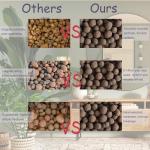 Organic Clay Pebbles for Hydroponics and Gardening