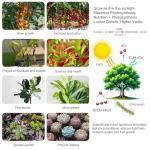 Uallhome 200W LED Grow Light Panel, 2 Pack