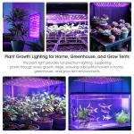 Uallhome 200W LED Grow Light Panel, 2 Pack