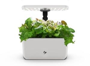 AeroGarden Harvest 2.0 Indoor Hydroponic System