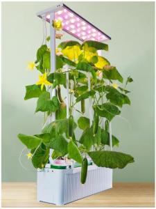 E SUPEREGROW Indoor Hydroponics System with LED Light