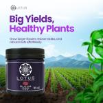 Bloom and Yield Enhancer for Hydroponic Plants