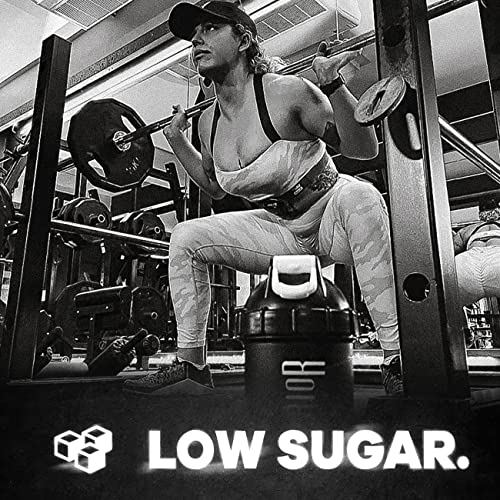 Chocolate Peanut Butter Warrior Raw Protein Flapjack - 12 bars