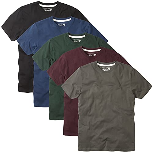 Charles Wilson Pack of 5 Solid Color T-Shirts