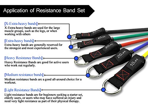 TheFitLife Resistance Bands Set - 5 Stackable Bands