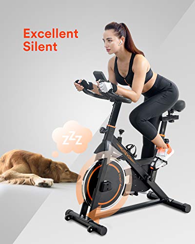 UREVO Indoor Exercise Bike: 10kg Flywheel, 260LBS Weight Capacity