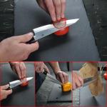 6.5" Japanese Honesuki Knife with White Birch Handle