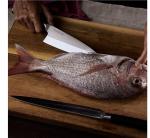 Kamikoto Ryoshi Honesuki Knife Set, Honshu Steel