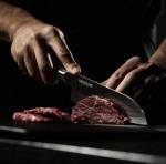 Kamikoto 7-Inch Japanese Santoku Chef Knife