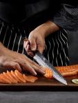 HOSHANHO 10-Inch Honesuki Knife for Sushi & Sashimi