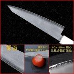 6.5-Inch Japanese Honesuki Knife with G10 Handle
