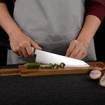 6.5-Inch Japanese Honesuki Knife with G10 Handle
