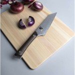 Shun Kanso 5.5" Honesuki Knife - Silver Finish