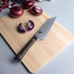 Shun Kanso 5" Japanese Boning Knife with Tagayasan Handle
