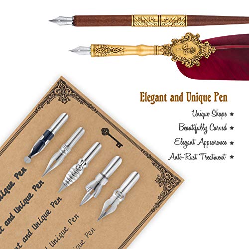 Feather Pen and Ink Set - Calligraphy Quill