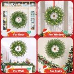 Vintage Charm 24" Norfolk Pine Christmas Wreath