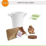 Red Double Amaryllis Bulb Gift Kit with Planter