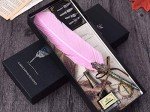 Antique Feather Dip Pen Set – Vintage Elegance