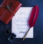 Elegant Calligraphy Quill Pen Set with Feather