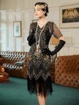 1920s Flapper Dress with Accessories - Great Gatsby