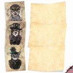 Cute Blank Cat Note Cards - Set of 10