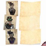 Cute Blank Cat Note Cards - Set of 10