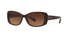 Dark Brown Sunglasses by Coach