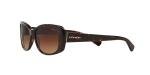 Dark Brown Sunglasses by Coach