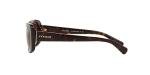 Dark Brown Sunglasses by Coach