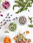 Grow Your Own Tea Garden: Backyard Bliss Guide