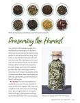 Grow Your Own Tea Garden: Backyard Bliss Guide