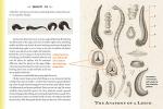 Quackery: The Worst Cures Through History