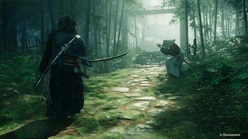 Rise of the Ronin PS5 Game