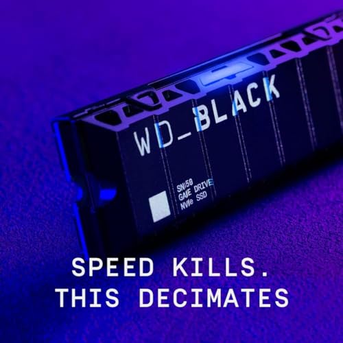 PS5 1TB NVMe SSD with Heatsink