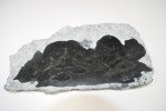 Signed SIKU Soapstone Eskimo Relief Sculpture 8"x5