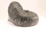 Walrus Soapstone Sculpture by Al Wolf