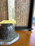 Signed DIMU Soapstone Igloo Sculpture