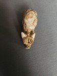 Handmade Soapstone Wolf Sculpture